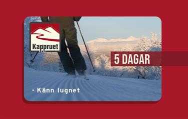 Bild för: 5 Dagar